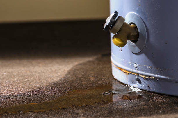 Best Flooded house restoration  in Racend, LA