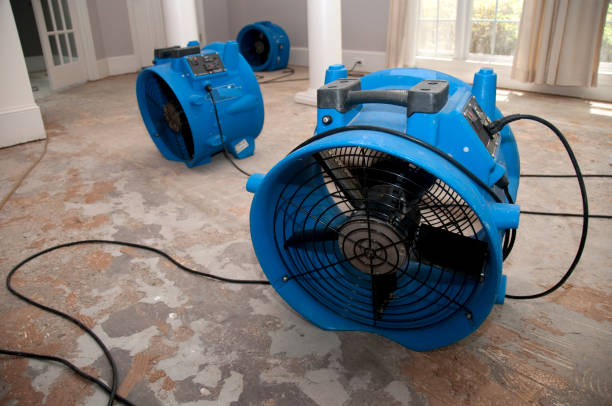 Best Water damage repair service  in Racend, LA